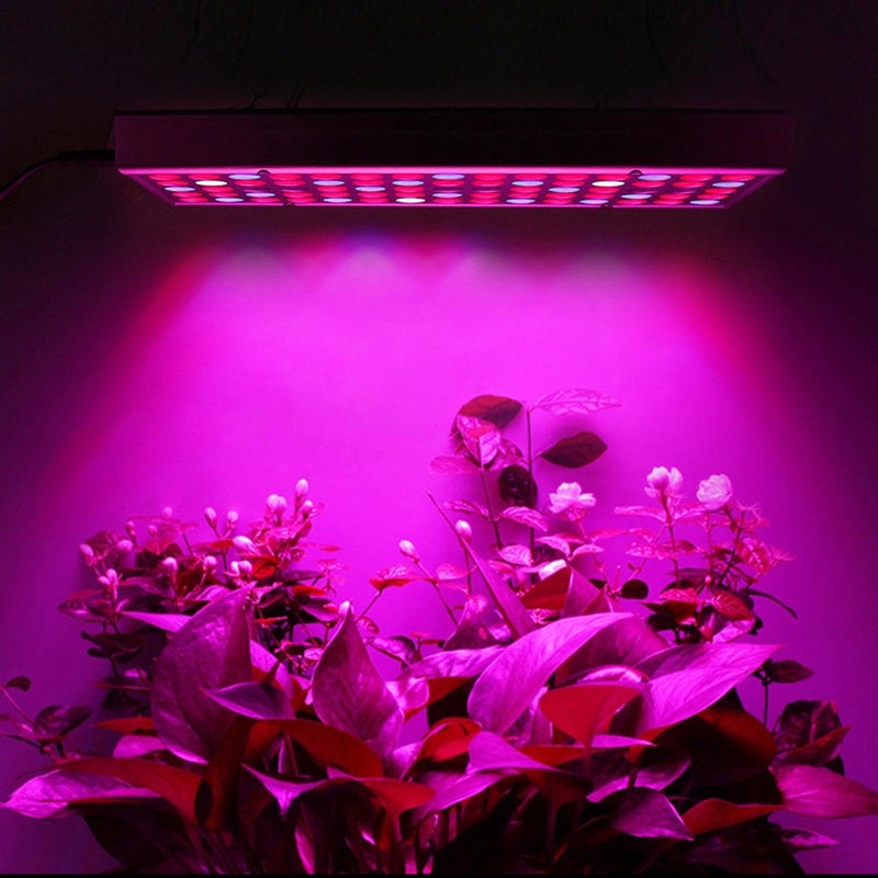 مصباح نمو النباتات الداخلية للبيوت الزجاجية الحديثة والمشاتل الحضرية، بتقنية LED كاملة الطيف مع تصميم أنيق بسلسلة تعليق - Image 5