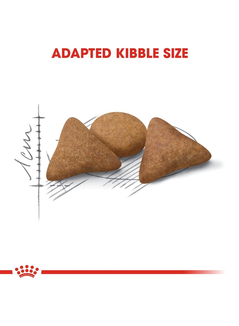 رويال كانين طعام رويال كانين هوم لايف للتحكم في الشهية للقطط البالغة داخل المنزل من عمر 1 إلى 7 سنوات، 2 كجم - Image 3