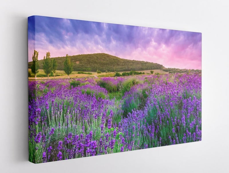 BPA® Field Nature Landscape Canvas Art - Image 1