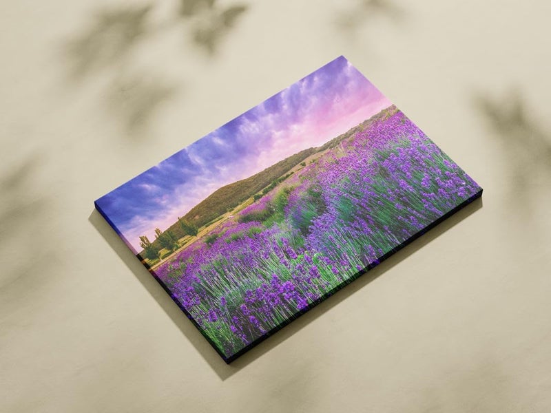BPA® Field Nature Landscape Canvas Art - Image 3
