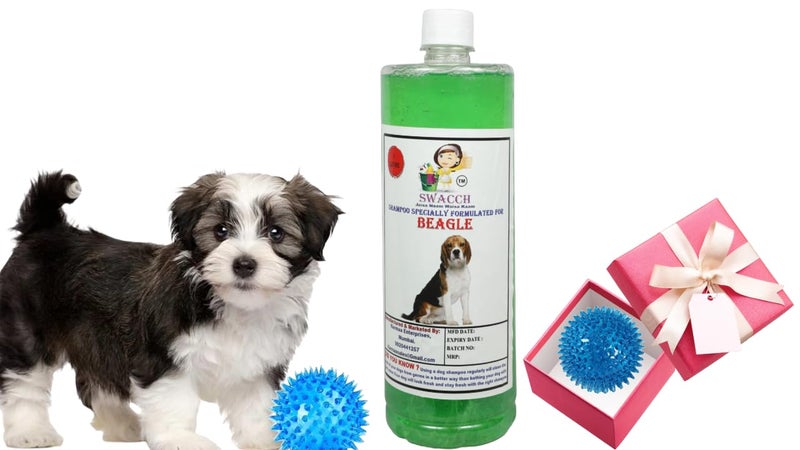 swacch Shampoo | Puppy Safe Shampoo | PH Balanced | Ditch to Itch for Beagle Dog Shampoo 1 Litre (Neem Alovera) + Spike Ball Chew Toy Combo Pack - Image 1