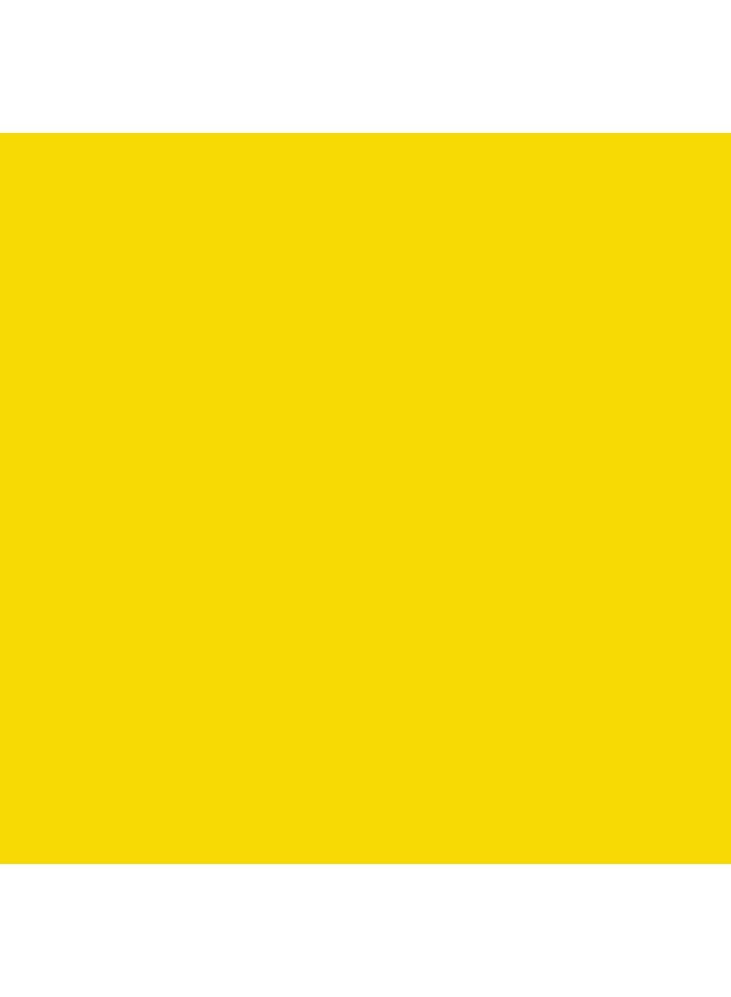 فيزيكو Visico Widetone Seamless Background Paper #14 (Yellow) - Image 2