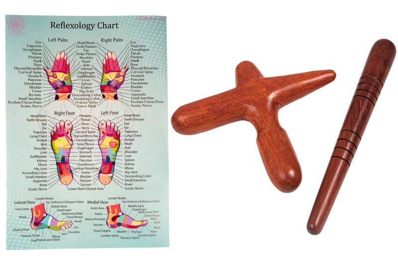CCcollections Massage toolsets with Chart for Professionals Foot Hand Massage Wooden Stick Reflexology (English, Set E) - Image 1