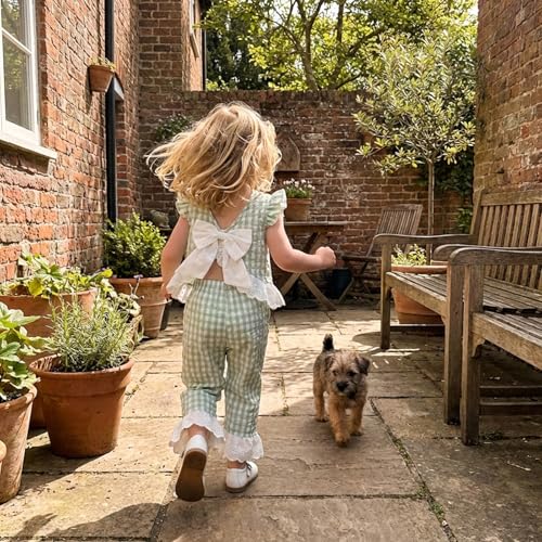 GOOCHEER Toddler Girl Clothes Baby Summer Outfits Plaid Ruffle Sleeveless Vest Tank Tops Pants Set 12 18 24 Month 2T 3T 4T (#Lace-Green, 12-18 Months) - Image 3