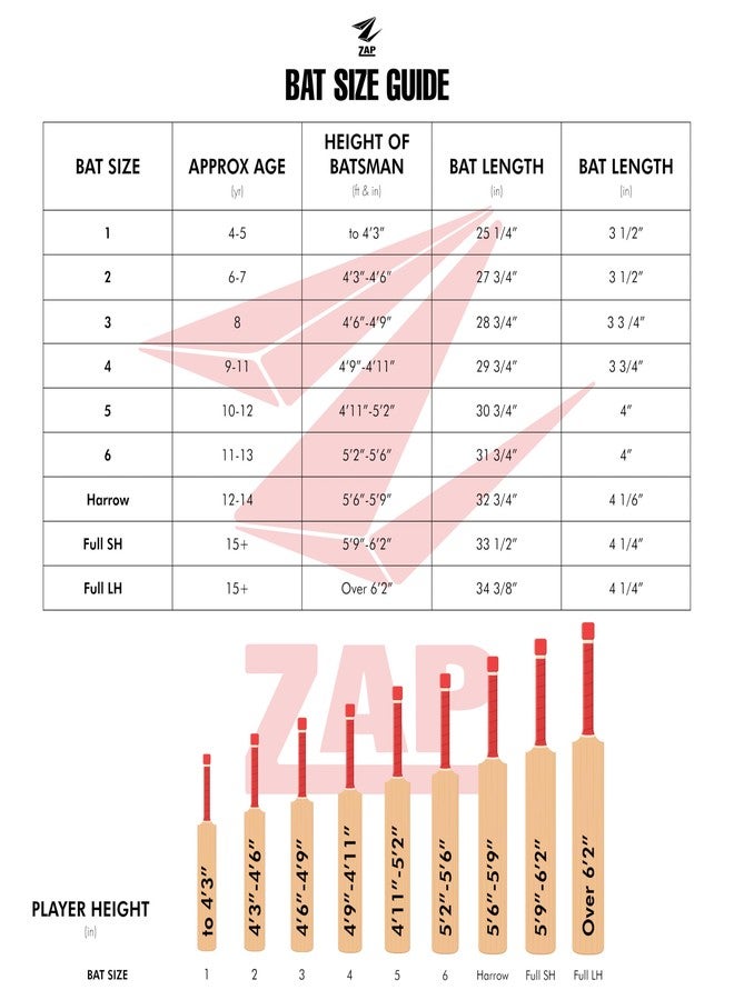 ZAP Instinct Kashmir Willow Cricket Leather Bat (Size -4) | Professional Full Size SH Bat for Leather Ball | Singapore Cane Handle | Quality Willow | Lightweight & Shock-Absorbing Design | Free Cover - Image 2