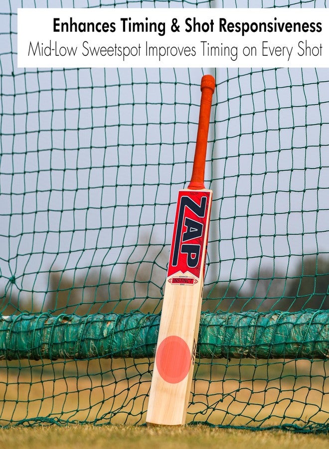 ZAP Instinct Kashmir Willow Cricket Leather Bat (Size -4) | Professional Full Size SH Bat for Leather Ball | Singapore Cane Handle | Quality Willow | Lightweight & Shock-Absorbing Design | Free Cover - Image 3