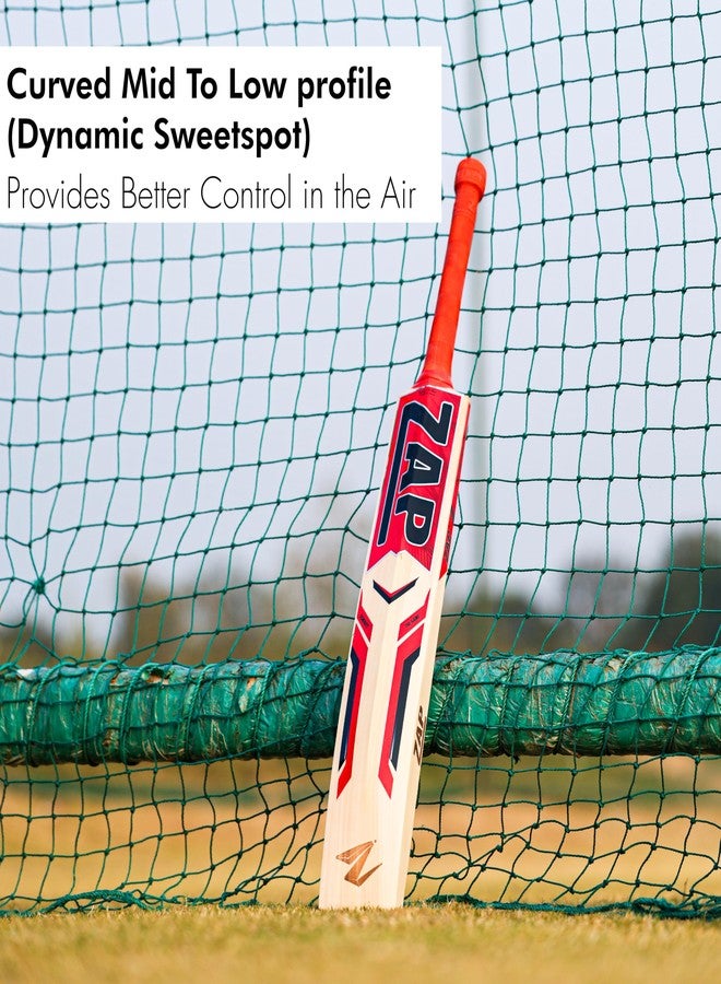 ZAP Instinct Kashmir Willow Cricket Leather Bat (Size -4) | Professional Full Size SH Bat for Leather Ball | Singapore Cane Handle | Quality Willow | Lightweight & Shock-Absorbing Design | Free Cover - Image 4
