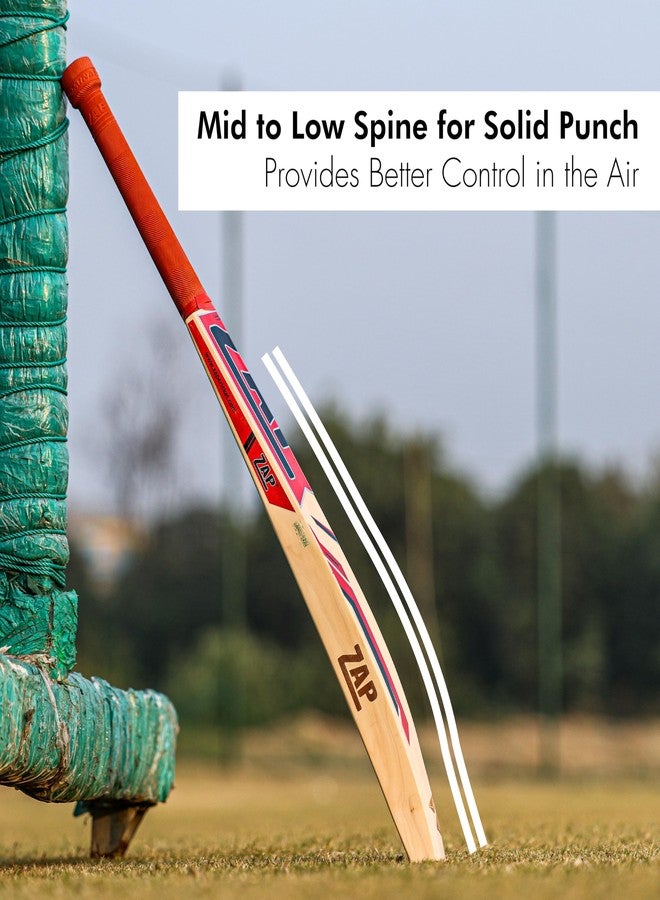ZAP Instinct Kashmir Willow Cricket Leather Bat (Size -4) | Professional Full Size SH Bat for Leather Ball | Singapore Cane Handle | Quality Willow | Lightweight & Shock-Absorbing Design | Free Cover - Image 5