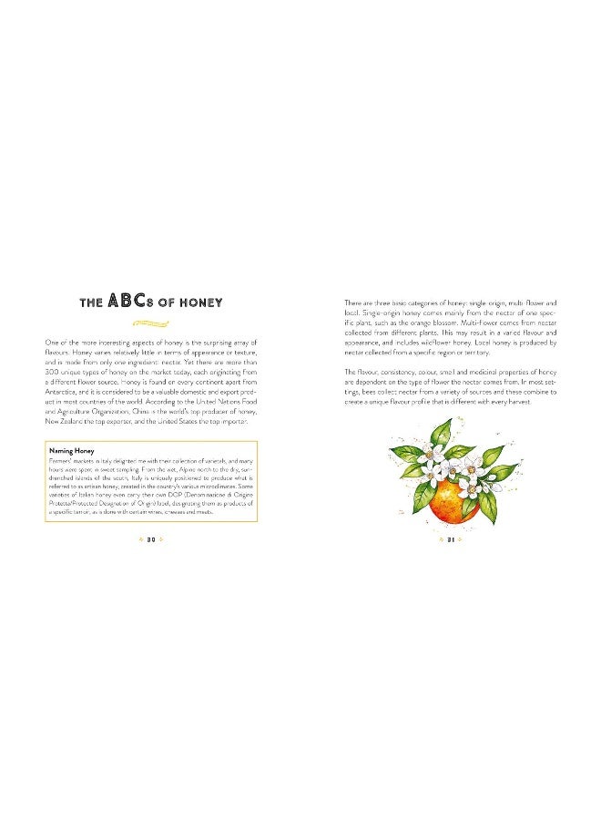The Honey Book: Health, Healing & Recipes  - Image 2