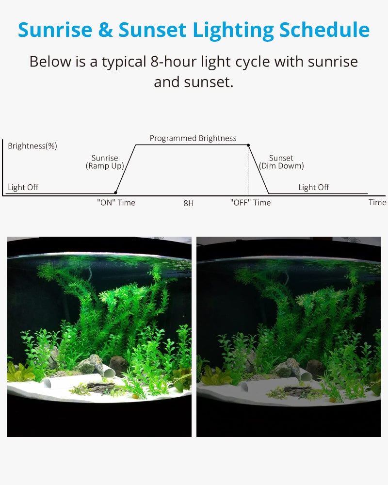 NICREW Aquarium Light Timer&Dimmer, Easy to Program Fish Tank Light Controller - Image 5