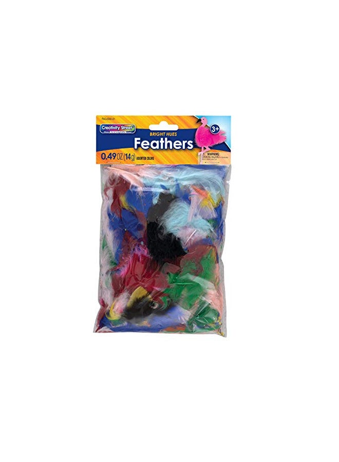 Creativity Street Turkey Plumage Feathers, Assorted Bright Hues, 0.5-oz. (AC4500-01) - Image 1