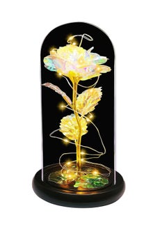 Generic Mother's Day Rose Gifts,Birthday Gifts for Women,Women Gifts for Christmas,Light up Rose in Glass Dome,Roses Flower Gifts for Mom,Valentine's Day Gifts Wedding Anniversary Thanksgiving  - Image 1