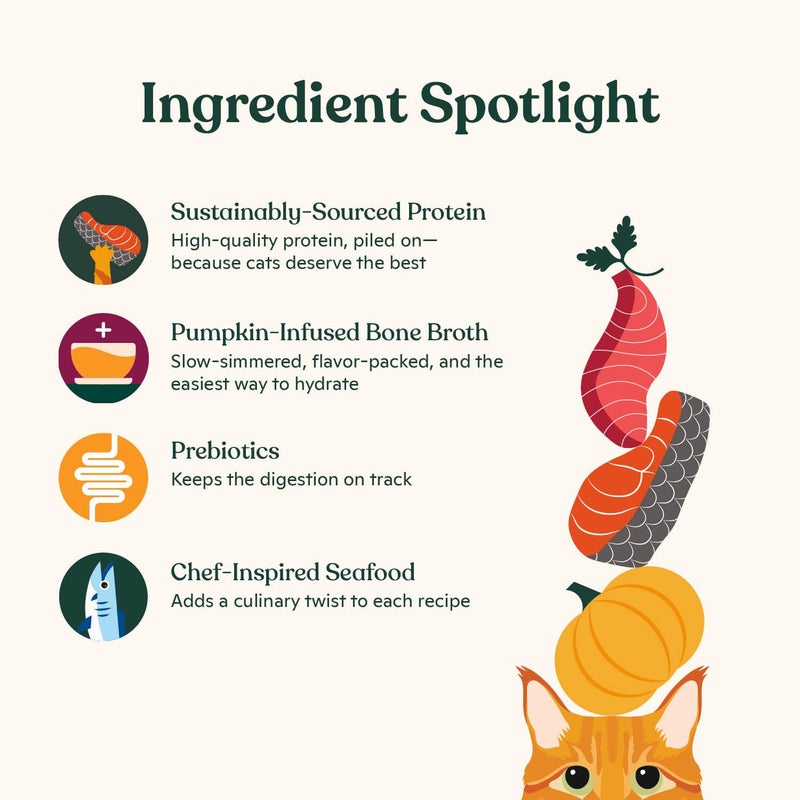 Made by Nacho Flaked Filets Recipe in Bone Broth, Grain-Free Chef's Selects Wet Food for Cats Balanced Diet in Naturally Hydrating Pumpkin-Infused Broth (3.0 oz (Pack of 12), Flaked Fish Variety Pack) - Image 3