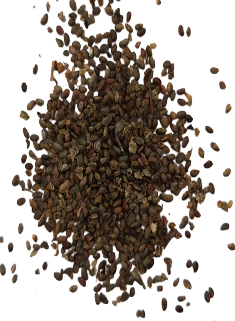 GGOOT Seed for Planting50Pcs/Bag Turks Cap Hibiscus Seeds Natural Heat Resistance Garden Supplies Landscaping Malvaviscus Arboreus Seeds for Park Plant for Garden-Malvaviscus arboreus - Image 1