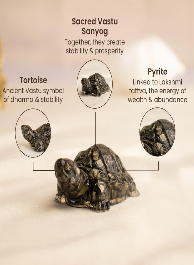 Astrotalk Pyrite Tortoise (Kachhua) 2.7x1 Inch | Pyrite Resin Turtle for Good Luck & Wealth | Crystal Tortoise for Good Luck for Home | Vastu Items for Housewarming Gift | Home Decor for Living Room - Image 3