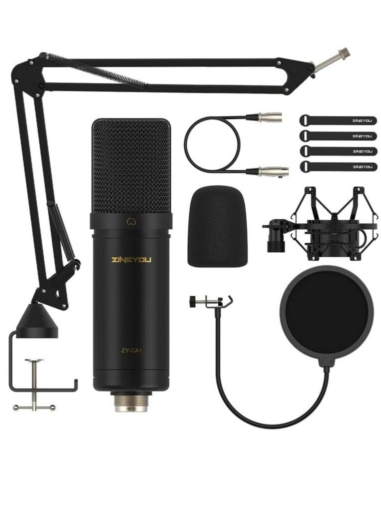 ZY-CA1  XLR Condenser Microphone, Cardioid Studio Recording Mic Kit with Boom Arm, Shock Mount, Pop Filter, Windscreen and Cable Ties for Podcast, Voice Over, Vocal, Streaming, YouTube,  (Black) - pzsku/Z2C711240C55F9AF5F3E1Z/45/_/1731318893/a1b50147-c286-4bd2-b12a-6dd0bb52402e