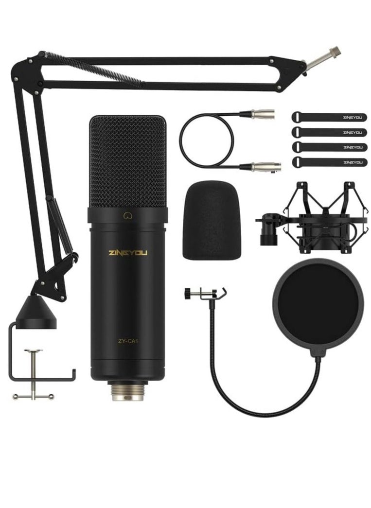 ZINGYOU - ZY-CA1  XLR Condenser Microphone, Cardioid Studio Recording Mic Kit with Boom Arm, Shock Mount, Pop Filter, Windscreen and Cable Ties for Podcast, Voice Over, Vocal, Streaming, YouTube,  (Black) - Image 1