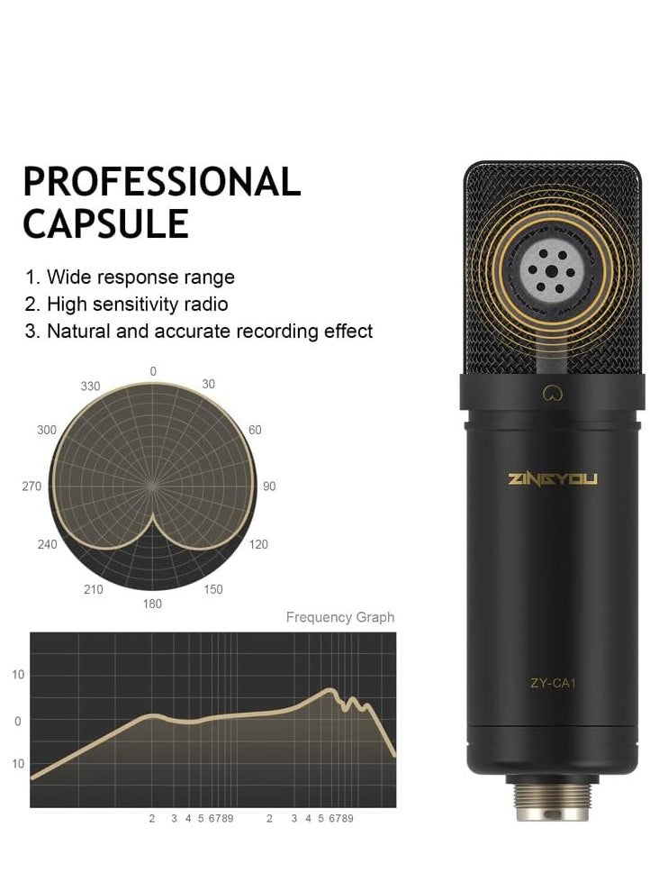 ZINGYOU - ZY-CA1  XLR Condenser Microphone, Cardioid Studio Recording Mic Kit with Boom Arm, Shock Mount, Pop Filter, Windscreen and Cable Ties for Podcast, Voice Over, Vocal, Streaming, YouTube,  (Black) - Image 1