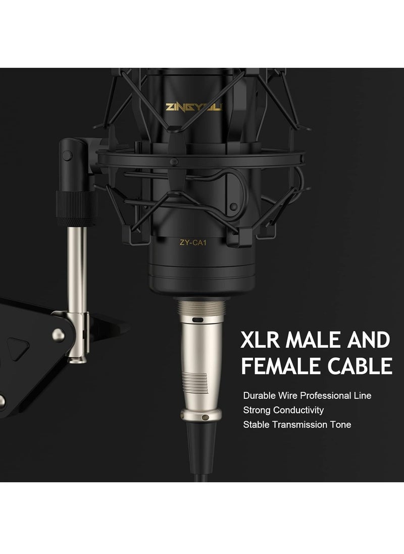 ZY-CA1  XLR Condenser Microphone, Cardioid Studio Recording Mic Kit with Boom Arm, Shock Mount, Pop Filter, Windscreen and Cable Ties for Podcast, Voice Over, Vocal, Streaming, YouTube,  (Black) - pzsku/Z2C711240C55F9AF5F3E1Z/45/_/1731318947/60d07ab2-1e52-48a0-9b46-11e69cff8b14