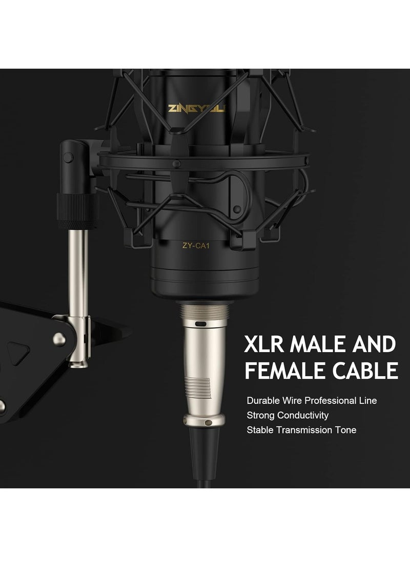ZINGYOU - ZY-CA1  XLR Condenser Microphone, Cardioid Studio Recording Mic Kit with Boom Arm, Shock Mount, Pop Filter, Windscreen and Cable Ties for Podcast, Voice Over, Vocal, Streaming, YouTube,  (Black) - Image 1