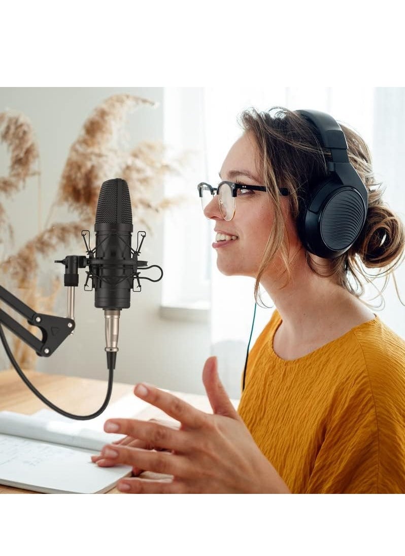 ZINGYOU - ZY-CA1  XLR Condenser Microphone, Cardioid Studio Recording Mic Kit with Boom Arm, Shock Mount, Pop Filter, Windscreen and Cable Ties for Podcast, Voice Over, Vocal, Streaming, YouTube,  (Black) - Image 1
