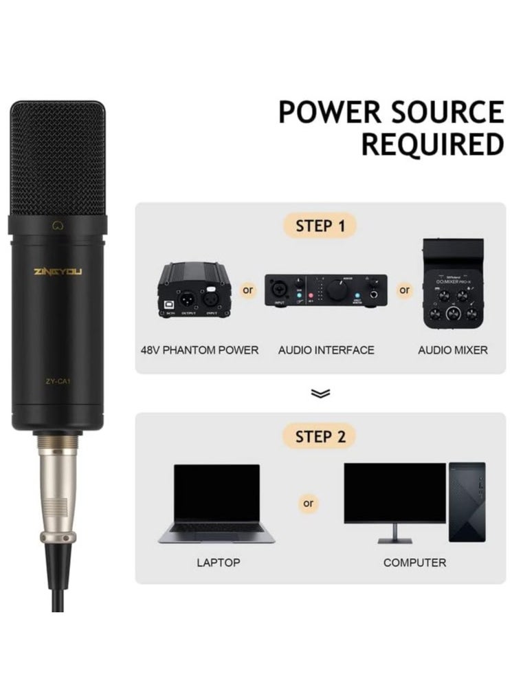 ZY-CA1  XLR Condenser Microphone, Cardioid Studio Recording Mic Kit with Boom Arm, Shock Mount, Pop Filter, Windscreen and Cable Ties for Podcast, Voice Over, Vocal, Streaming, YouTube,  (Black) - pzsku/Z2C711240C55F9AF5F3E1Z/45/_/1731318960/5cef81da-b234-4746-8604-97a367ba97f0