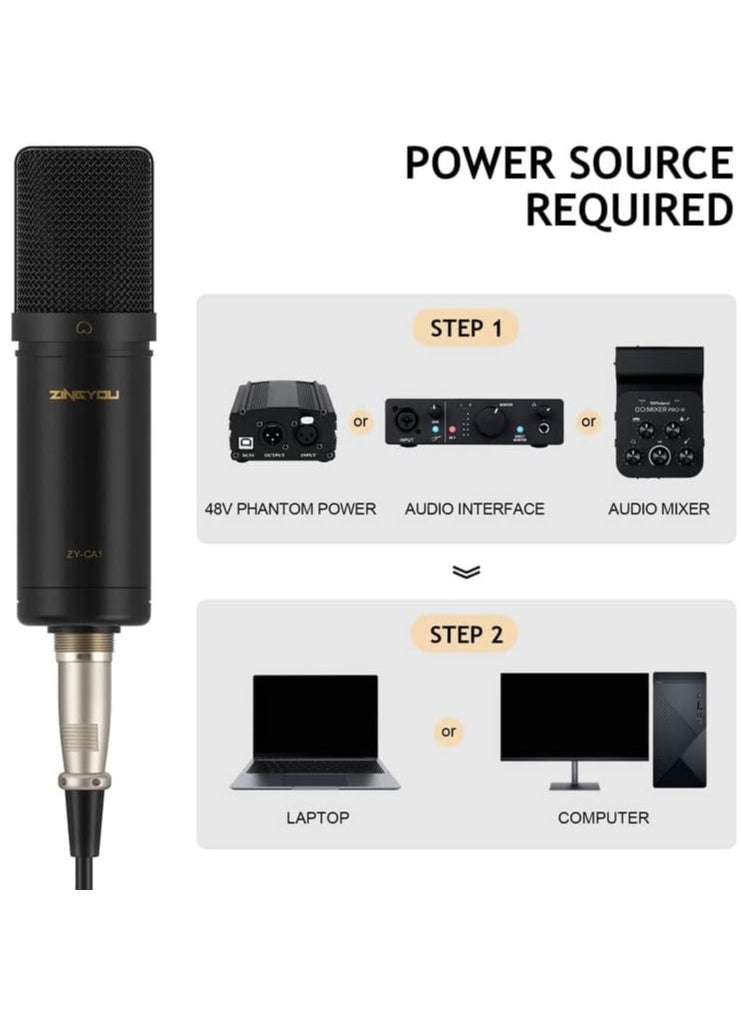 ZINGYOU - ZY-CA1  XLR Condenser Microphone, Cardioid Studio Recording Mic Kit with Boom Arm, Shock Mount, Pop Filter, Windscreen and Cable Ties for Podcast, Voice Over, Vocal, Streaming, YouTube,  (Black) - Image 1