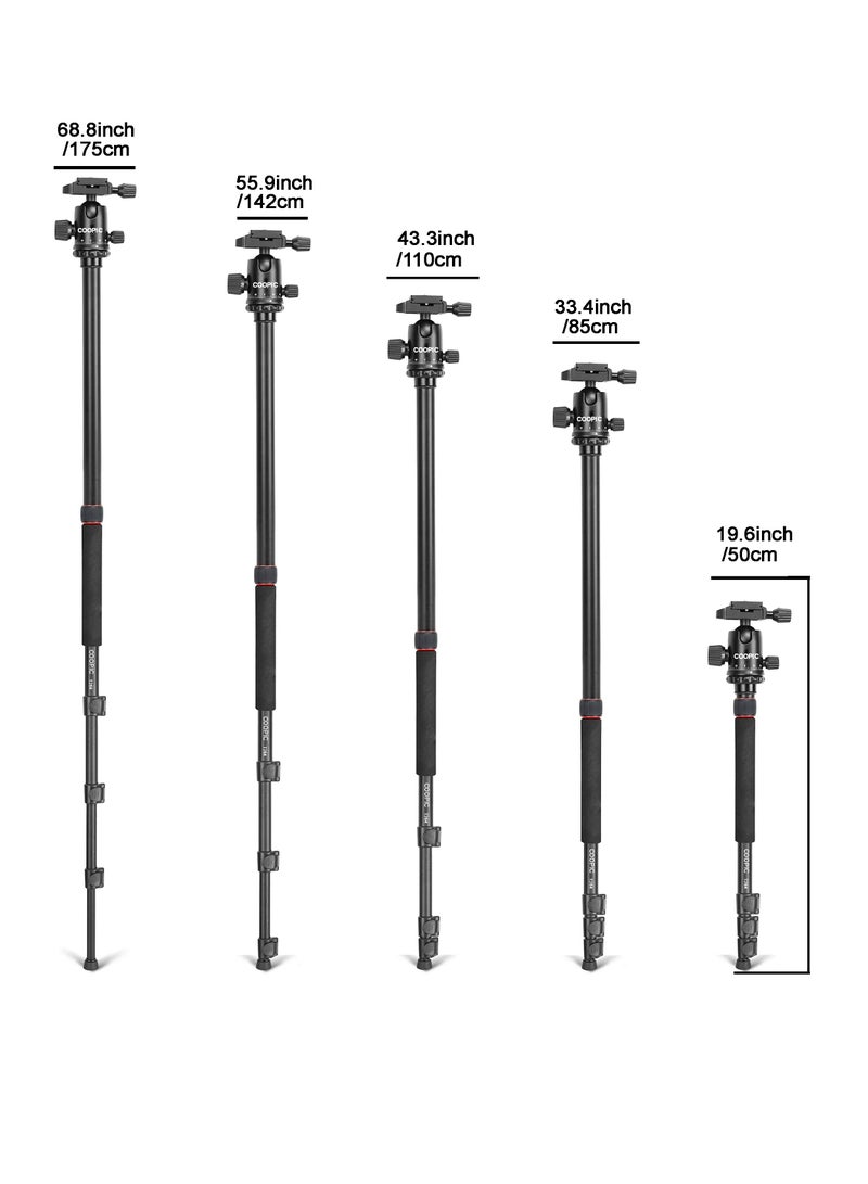 Coopic T264 Portable Lightweight 2in1 Tripod and Monopod with Tripod bag and Mobile holder used for SLR DSLR Cameras Max Load 5kg  - Image 4