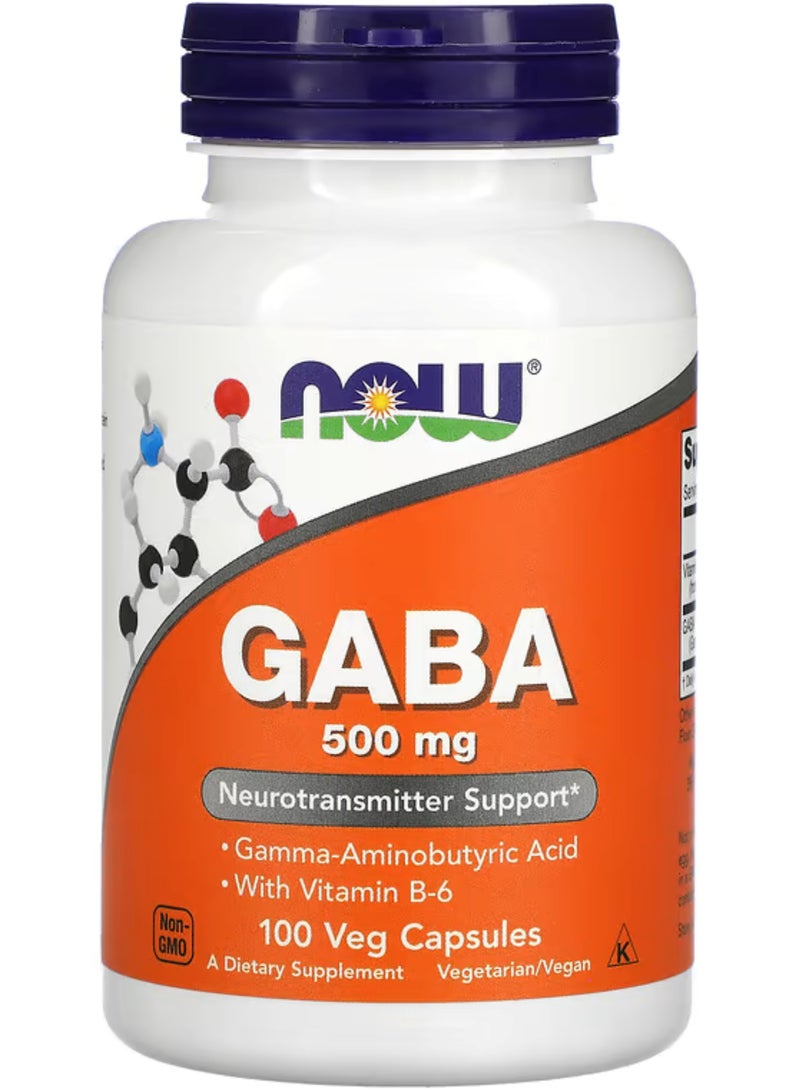 ناو فودز NOW Foods، GABA مع فيتامين B-6، 500 ملغ، 100 كبسولة نباتية - Image 1