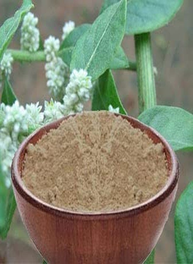 Value Life Essentials Valuelife Mountain Knot Grass/Kondapindi Powder (250g) - Image 3