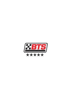 BTS Radiator fast flesh 12 Oz 355 ml  - Image 3