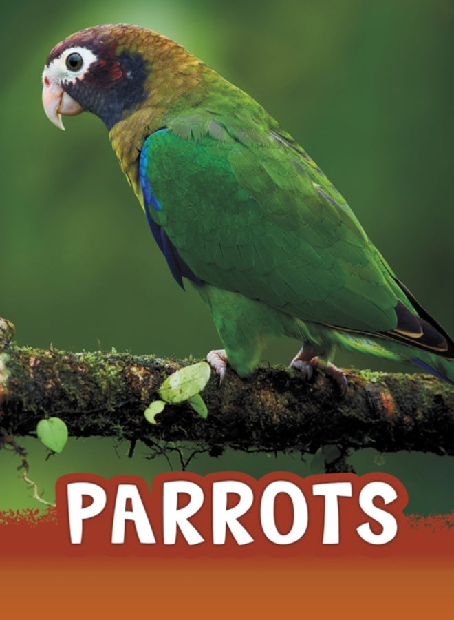 Parrots 