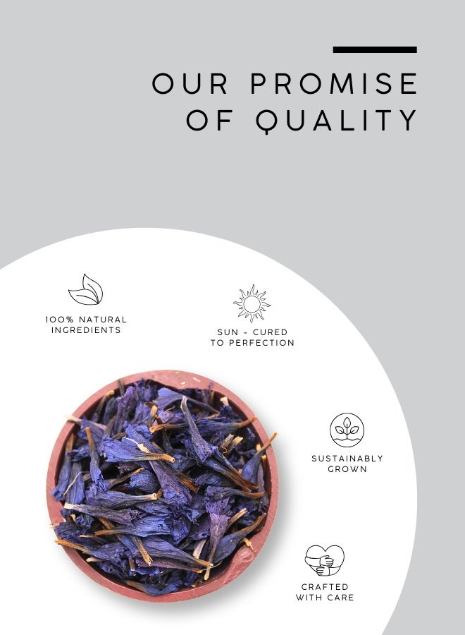 أباميك بتلات زهرة الذرة الزرقاء من أوافي ميل | لون أزرق ياقوتي نابض بالحياة - 500 غرام | 17.6 أونصة - Image 4