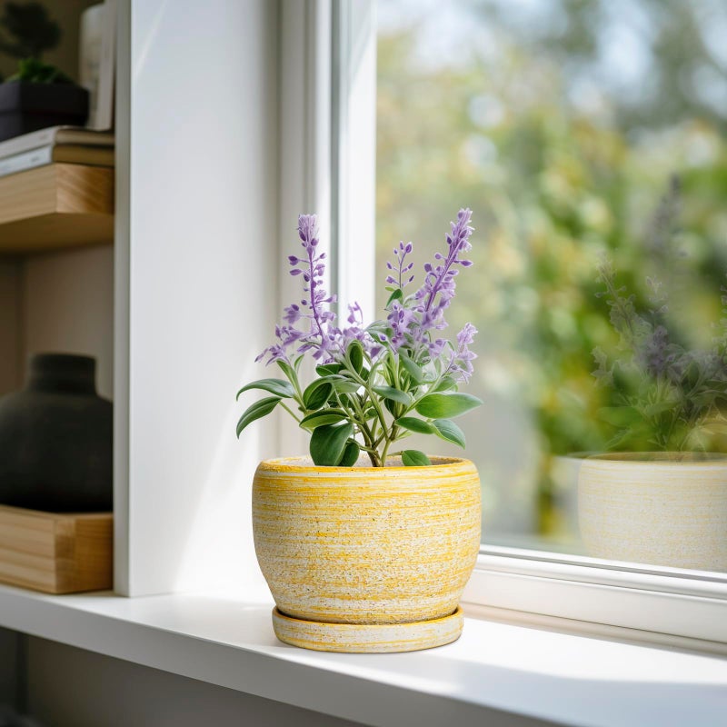 SQOWL Ceramic Planter - 6 Inch Plant Pot Indoor with Drainage Hole and Saucer, Decorative Ceramic Flower Pot Outdoor, Round Succulent Planters, Home Office Bedroom Decor, Birthday Gifts, Yellow - Image 2