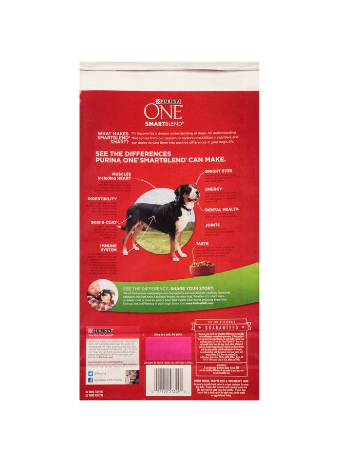 بيورينا ون طعام جاف للكلاب البالغة من بورينا ون سمارت بلند بتركيبة طبيعية من لحم الضأن والأرز، 4 أرطال - Image 2