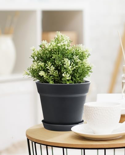 homenote Pots for Plants, 15 Pack 6 Inch Plastic Planters with Multiple Drainage Holes and Tray,Plant Pots for All Home Garden Flowers Succulents (Black) - Image 4