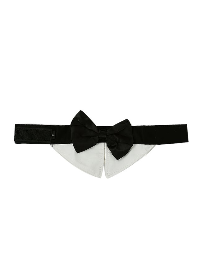 Loquat Dog Bow Tie Black/White 10.00 x 1.20 x 6.00centimeter - Image 1