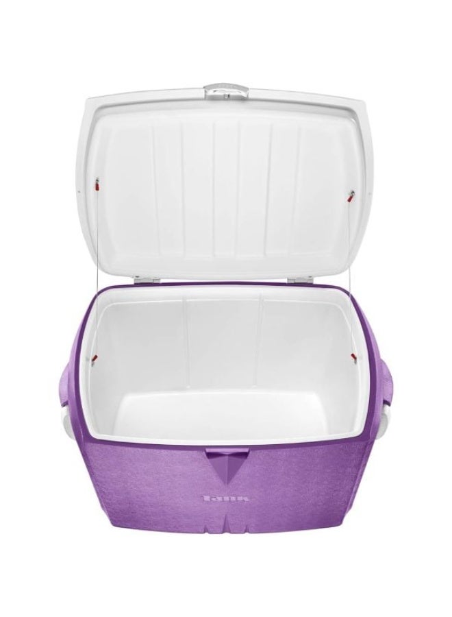 Tank Ice Box 45L- multicolor - Image 2