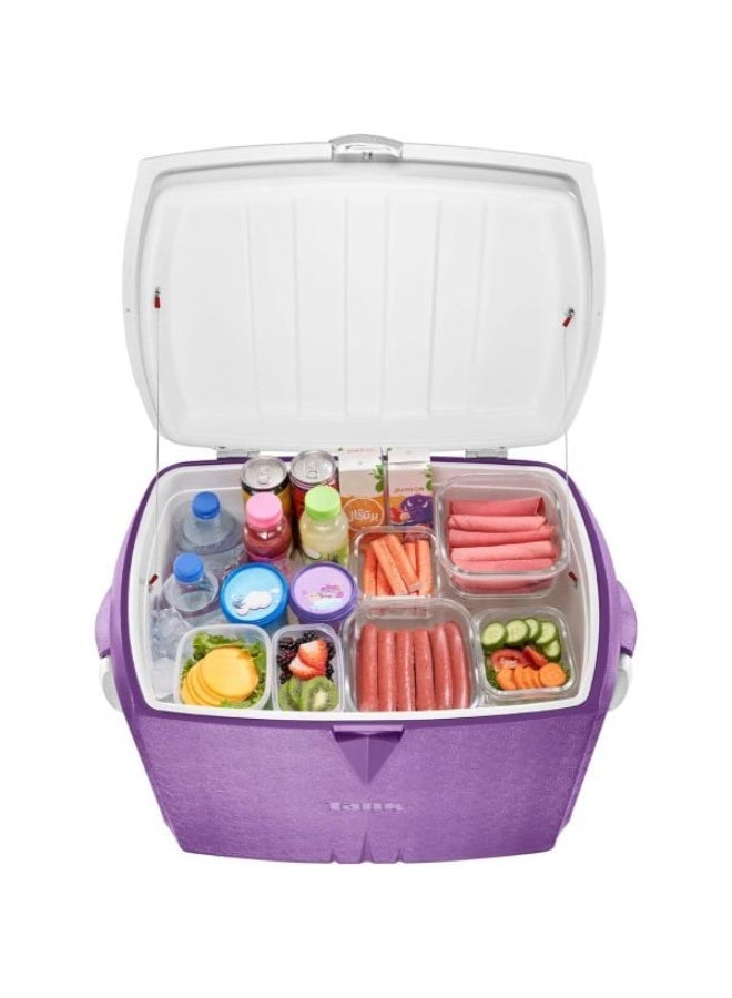 Tank Ice Box 45L- multicolor - Image 3