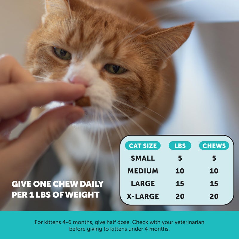 Pet Honesty Calming Chews for Cats - Cat Anxiety Relief + Helps Reduce Stress - Behavioral Support & Promotes Relaxation for Travel, Boarding, Vet Visits, Separation Anxiety - Chicken (30-Day Supply) - Image 4