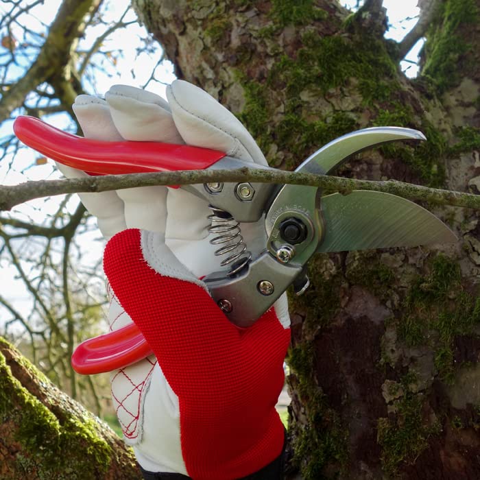 ARS HP-VS8Z Signature Heavy Duty Pruner - Image 2