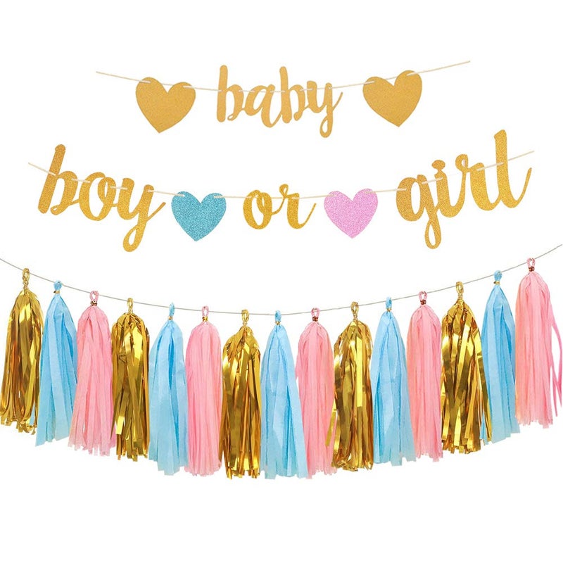 Aonor Baby Gender Reveal Decorations Glitter Letters Baby and Boy or Girl with Hearts Banner Tissue Paper Tassels Garland Set for Gender Reveal Party Decorations - Image 2