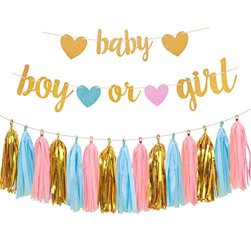 Aonor Baby Gender Reveal Decorations Glitter Letters Baby and Boy or Girl with Hearts Banner Tissue Paper Tassels Garland Set for Gender Reveal Party Decorations - Image 1
