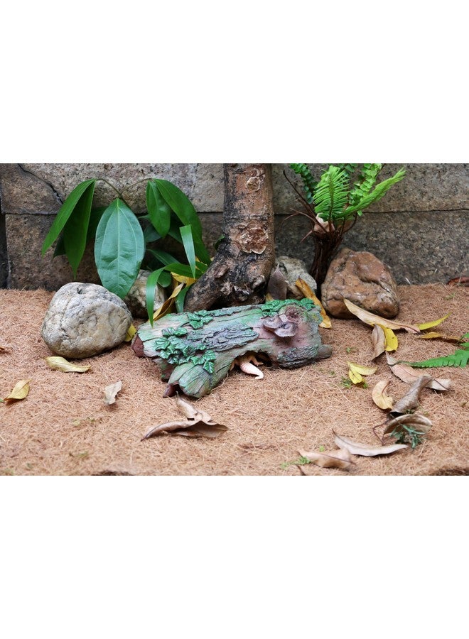 Generic Reptile Bark Bends Terrarium Decor - Hideout Caves for Amphibians. Ideal for Lizards, Snakes, Geckos, Frogs, Spiders, Scorpions...  - Image 4