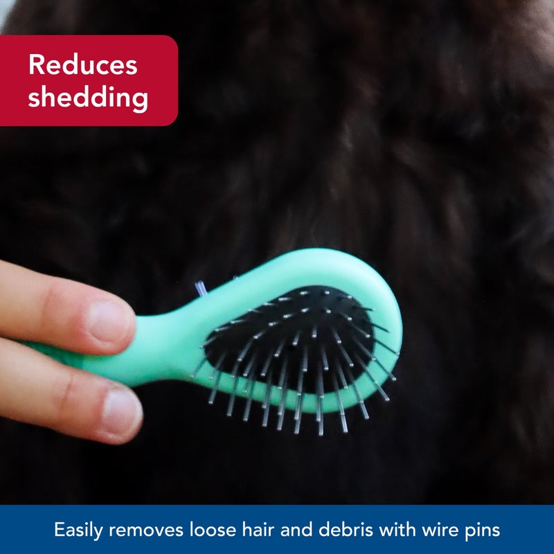 Coastal Pet Li'l Pals Dog Combo Brush - Dog Grooming Brush for Small Dogs - One Size - Image 4