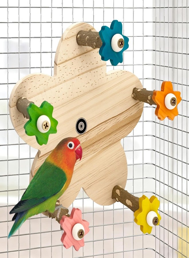 FALESHOS Parakeet Toys, Natural Wood Perch with 5 Branches, Unique Durable Avian Cage Accessories for Parakeets, Cockatiels, Budgerigars, Conures, Lovebirds - Image 1