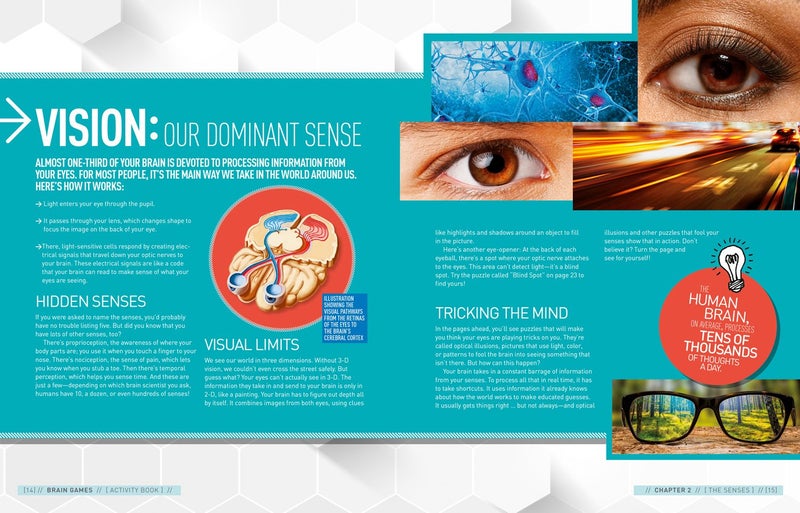 Brain Games - Image 2