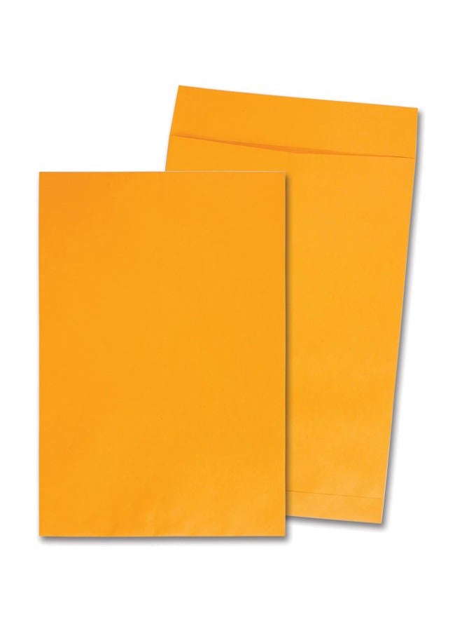 Quality Park Jumbo Kraft Envelopes, 12-1/2 x 18-1/2, Ungummed Catalog Envelopes for Storing and Organizing, 28 lb Kraft Paper, 25 per Box (QUA42353), Light Brown - Image 5