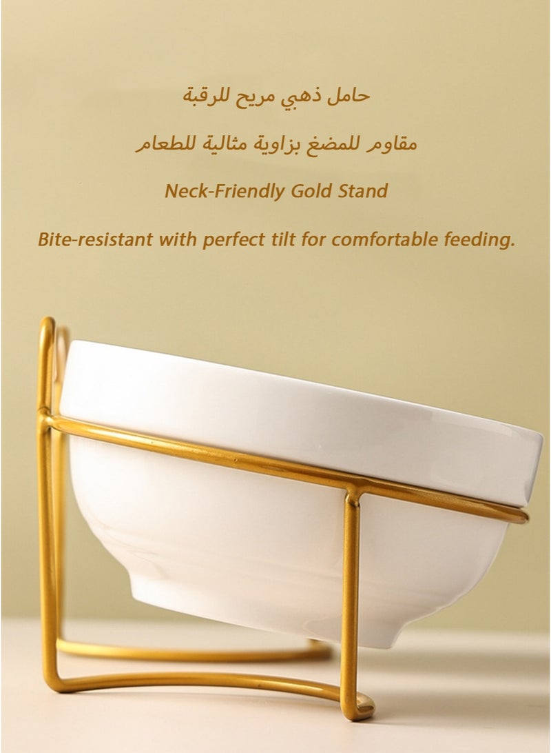 Golden Stand Ceramic Double Cat Bowl with Microwave-Safe Design, Smooth Glaze, Thick Build, and Ergonomic Tilt for Safe, Stylish Feeding - Image 5