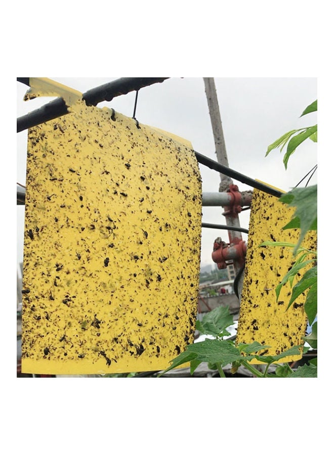 NIBEMINENT 20-Piece Dual-Sided Sticky Traps Yellow - Image 2